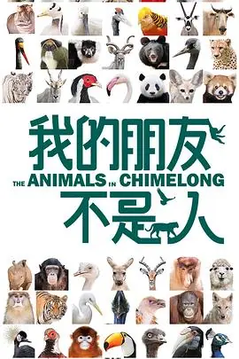 我的朋友不是人海报