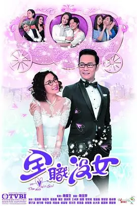 全职没女(粤语)海报