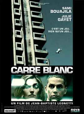 白色方块Carr&eacute;blanc海报