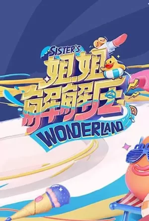 姐姐解解压海报