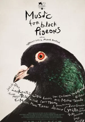 献给乌鸽的乐章海报