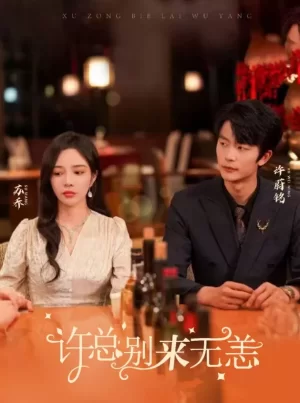 许总别来无恙海报