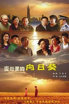 葵花进城海报