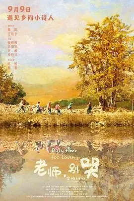 老师,别哭海报