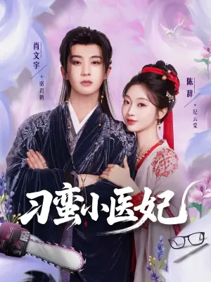 刁蛮小医妃海报