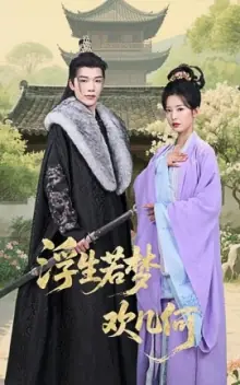 浮生若梦欢几何海报