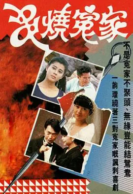 串烧冤家(粤语)海报
