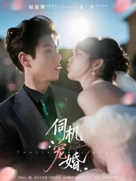伺机宠婚海报
