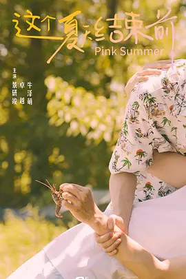这个夏天结束前海报