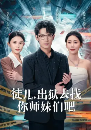 徒儿,出狱去找你师妹们吧海报