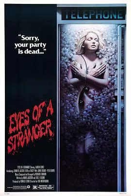 他在窥着你海报