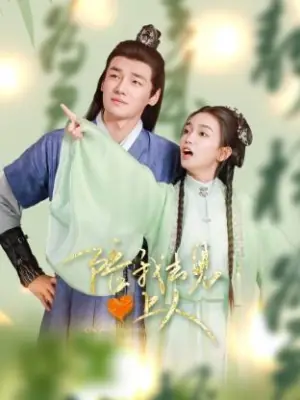 陪我去见心上人海报