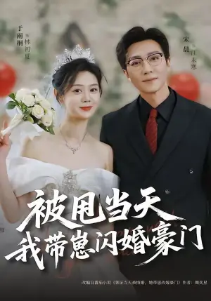 被甩当天我带崽闪婚豪门海报