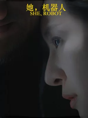 她,机器人海报