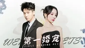 第一婚宠海报