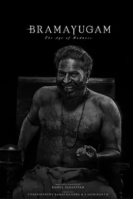 轮回:疯狂时代[电影解说]海报