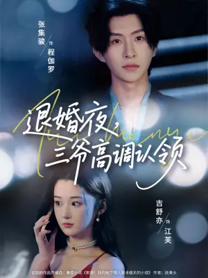退婚夜,三爷高调认领海报