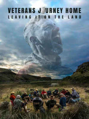 退伍军人回家之旅海报