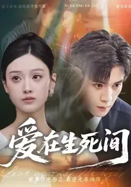 爱在生死间海报