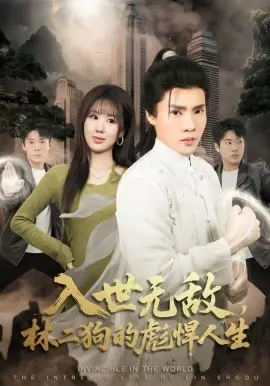 入世无敌,林二狗的彪悍人生海报