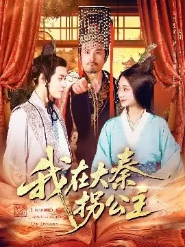 我在大秦拐公主海报