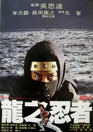 龙之忍者海报