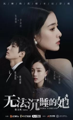 无法沉睡的她互娱版海报