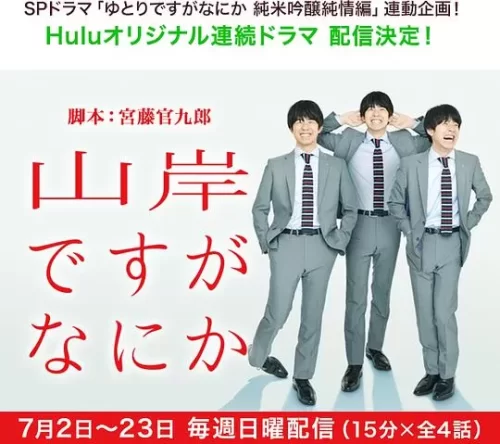 我是山岸,有何贵干海报