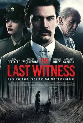 最后证人TheLastWitness海报