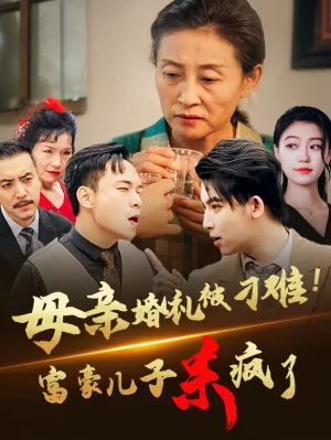 母亲婚礼被刁难首富儿子杀疯了海报