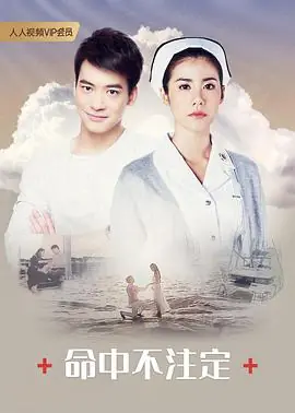 命中不注定海报