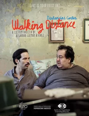 行走的距离[影视解说]海报