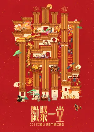 2025安徽卫视春晚海报