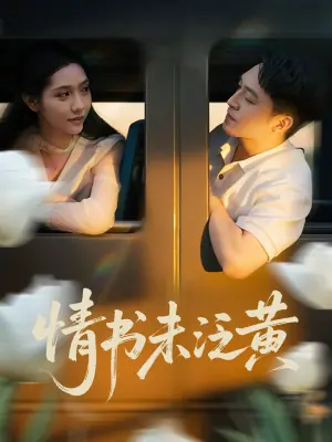 情书未泛黄海报