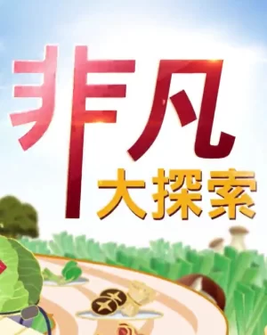 非凡大探索2024海报