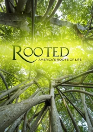 生命之树第二季海报