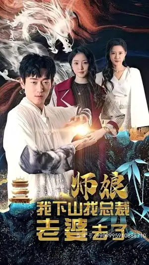 师娘,我下山找总裁老婆了海报
