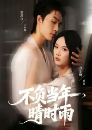 不负当年晴时雨海报