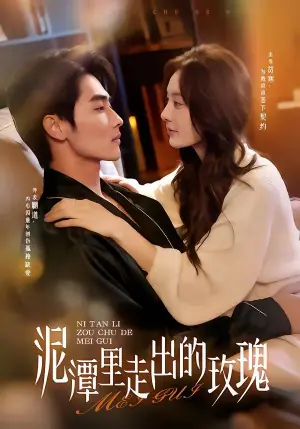 泥潭里走出的玫瑰海报