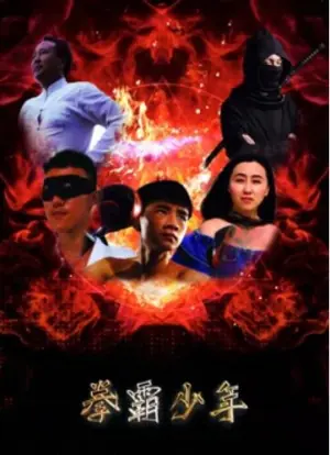 拳霸少年海报