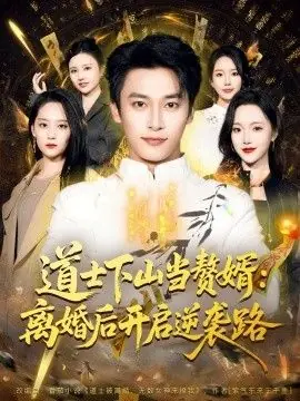 道士下山当赘婿:离婚后开启逆袭路海报