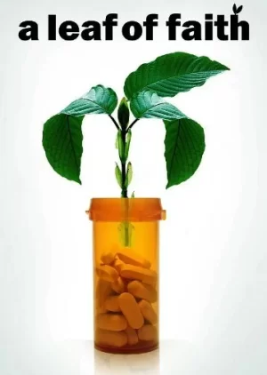 一片信仰之叶海报