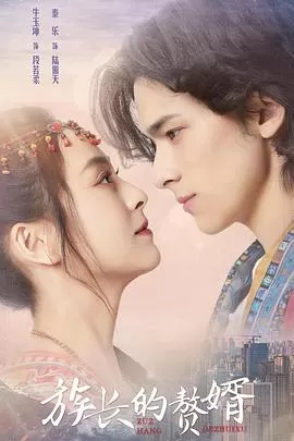 族长的赘婿海报