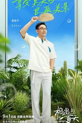相遇的夏天纯享版海报