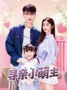 寻亲小萌主海报