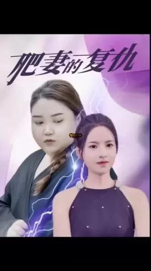肥妻的复仇海报