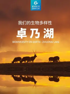 我们的生物多样性-卓乃湖海报