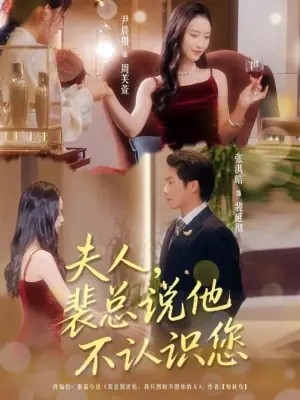 夫人,裴总说他不认识您海报