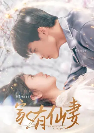 家有仙妻海报