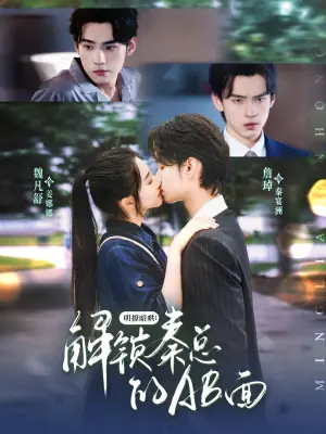 明撩暗哄:解锁秦总的AB面海报